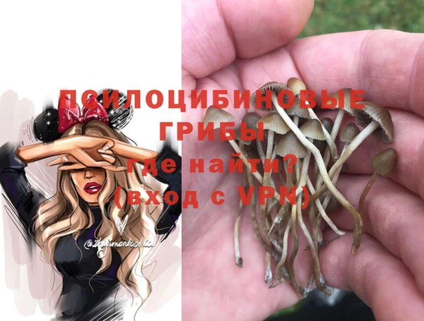 ALPHA PVP Баксан