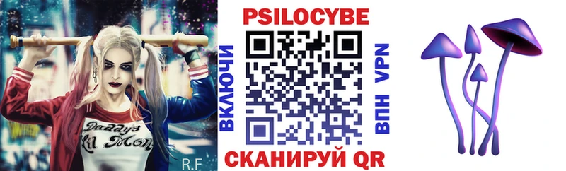 Галлюциногенные грибы Cubensis  Константиновск 